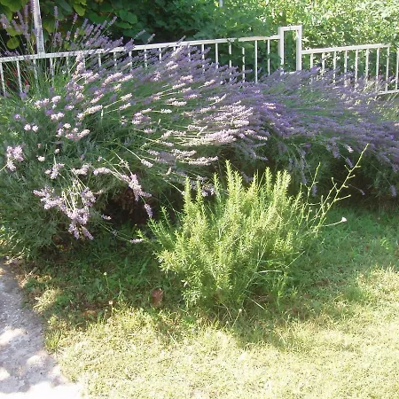 Apartamento Diklo Marija Zadar