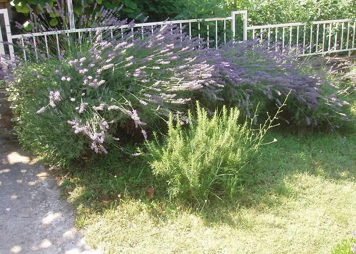 아파트 Diklo Marija 자다르